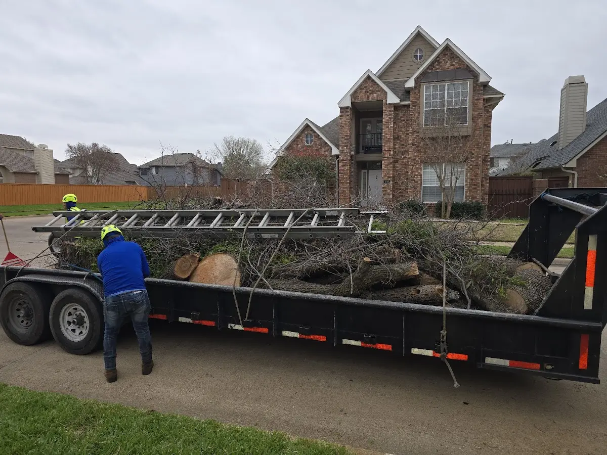 Expert Tree Removal with proper safety equipment in Old Bethpage